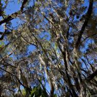photo-la-reunion-008