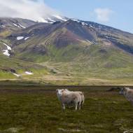 photo-islande-034
