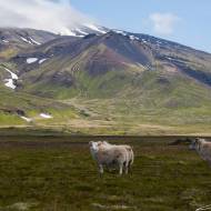 photo-islande-034