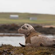 photo-islande-060