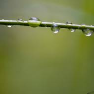 photo-macro-nature-014