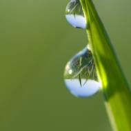 photo-macro-nature-018