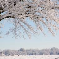 photo-jura-029