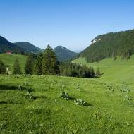 photo-jura-123