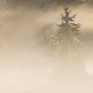 photo-jura-195