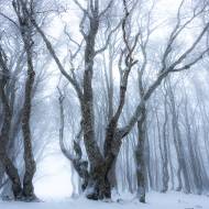 photo-jura-215