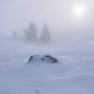 photo-jura-216