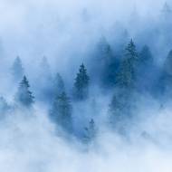 photo-jura-217