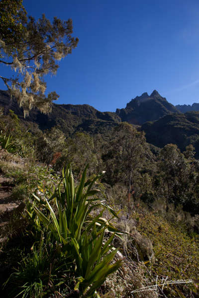 photo-la-reunion-007