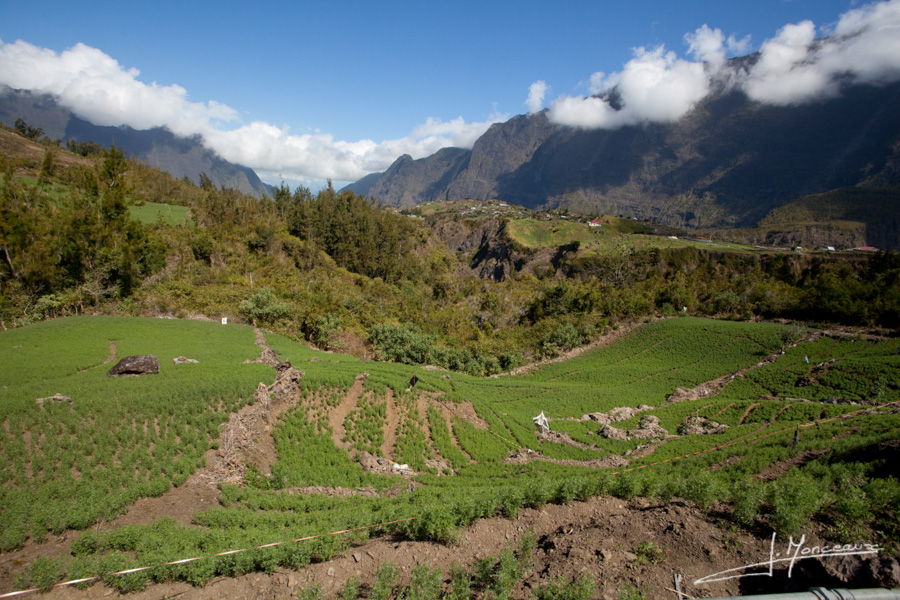 photo-la-reunion-009