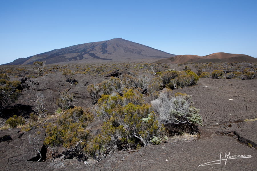 photo-la-reunion-017