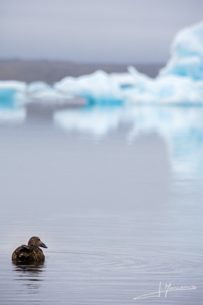 photo-islande-046