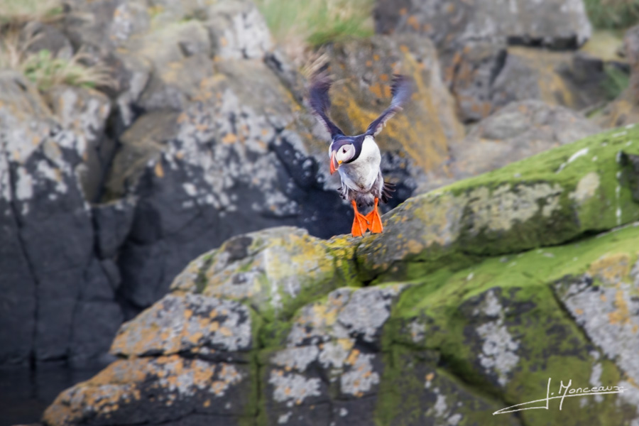 photo-islande-052