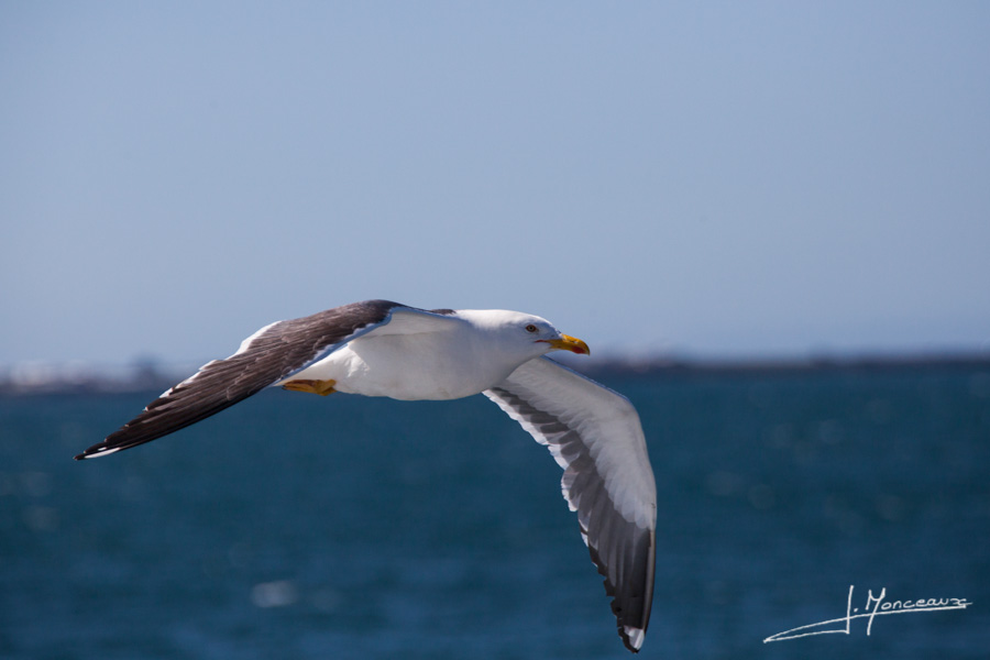 photo-islande-058