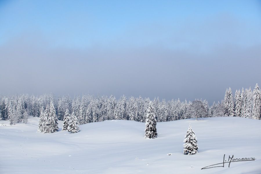 photo-jura-002