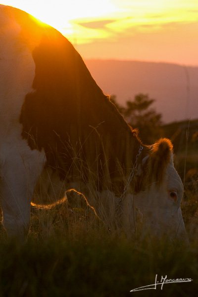 photo-jura-007