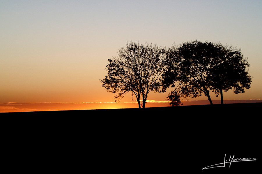 photo-jura-008