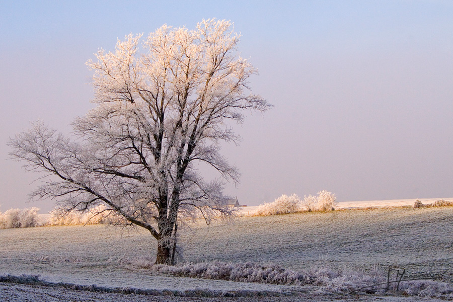 photo-jura-012