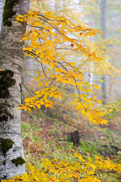 photo-jura-019