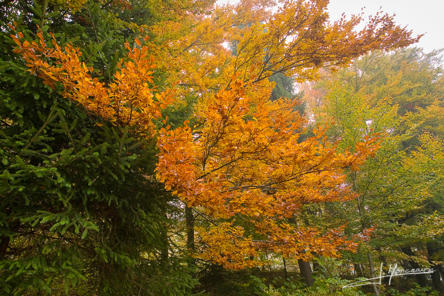photo-jura-020