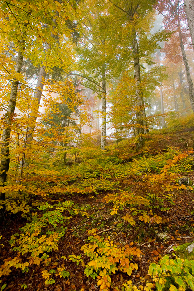 photo-jura-022