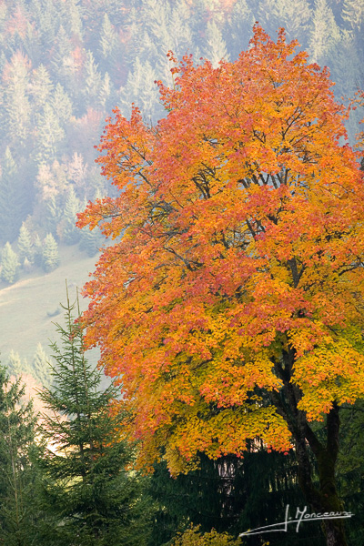 photo-jura-023