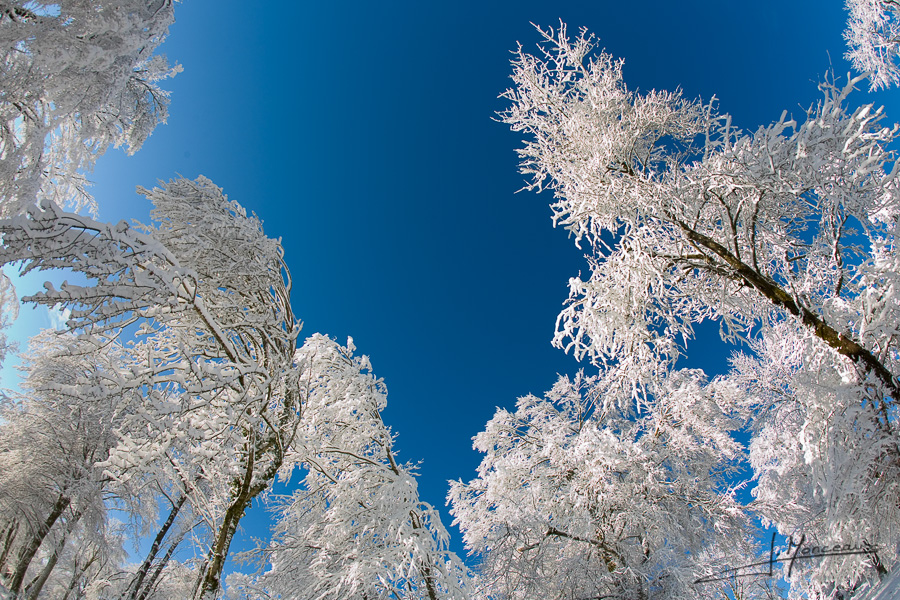 photo-jura-027