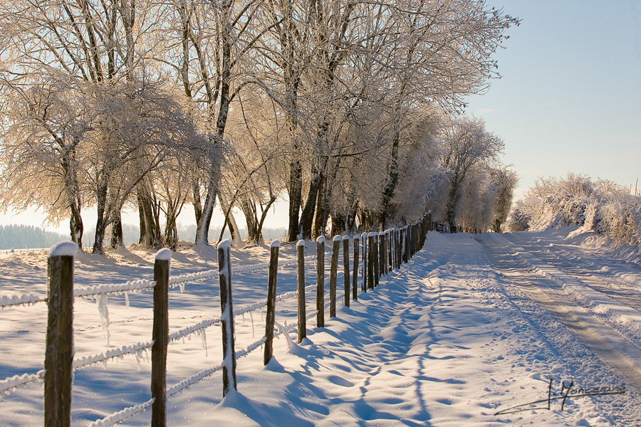 photo-jura-028
