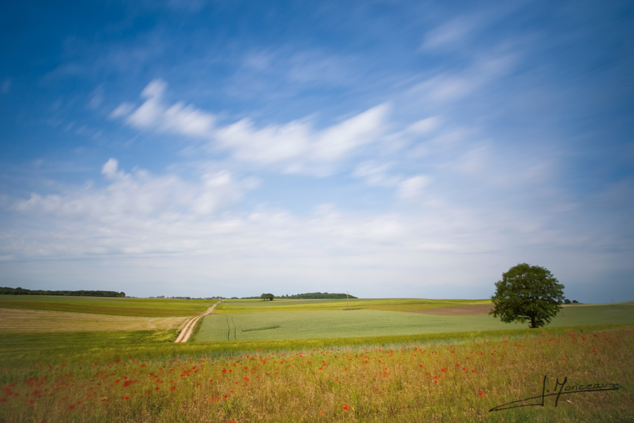 photo-jura-044