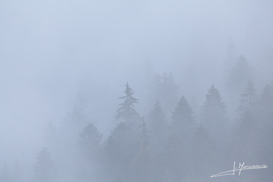 photo-jura-064