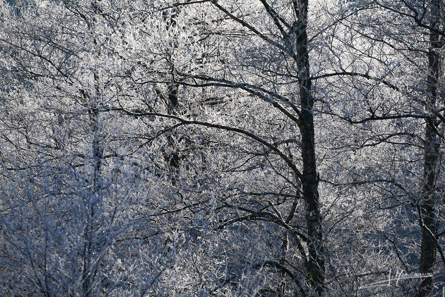 photo-jura-081