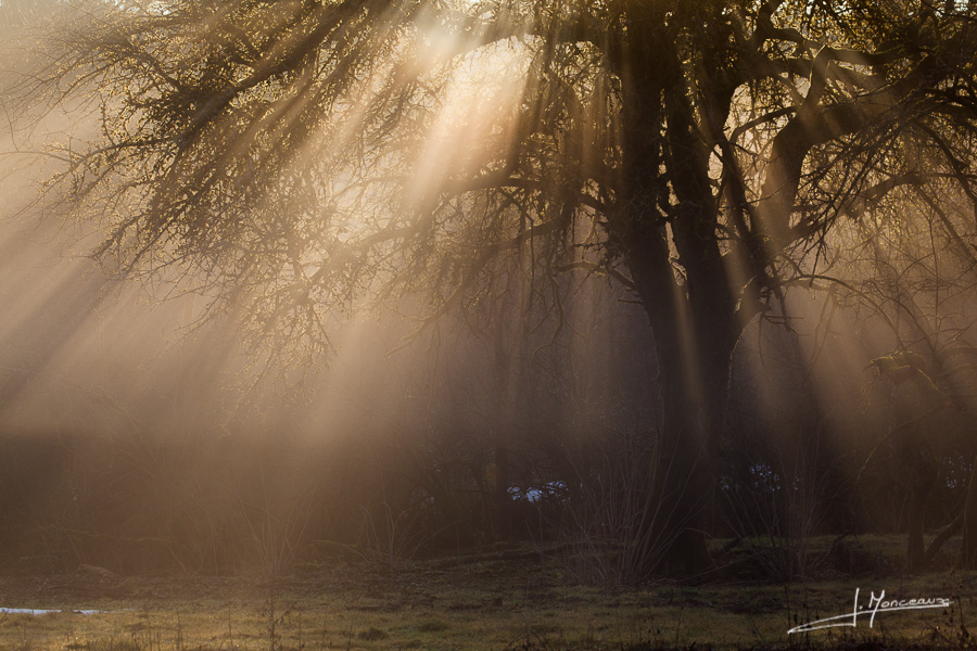 photo-jura-086