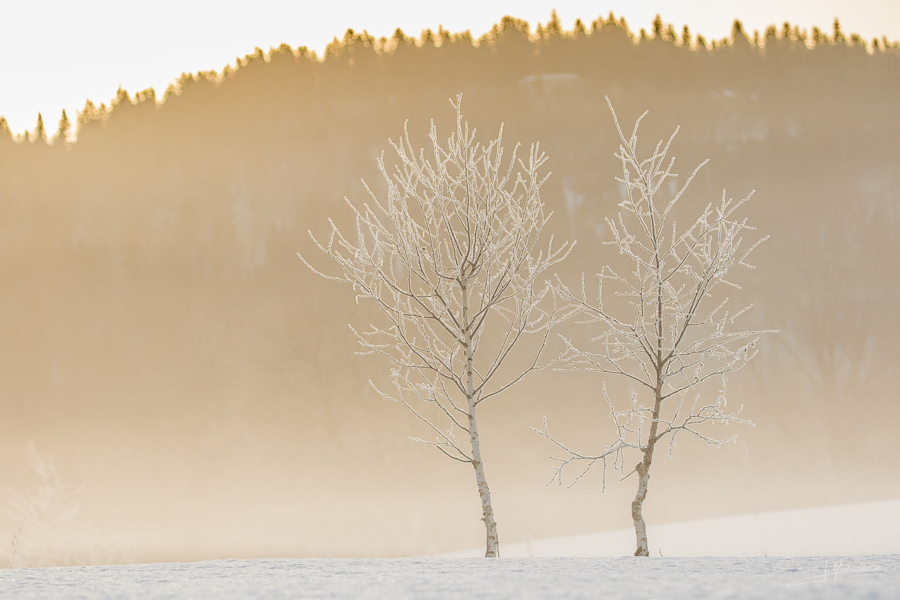 photo-jura-117