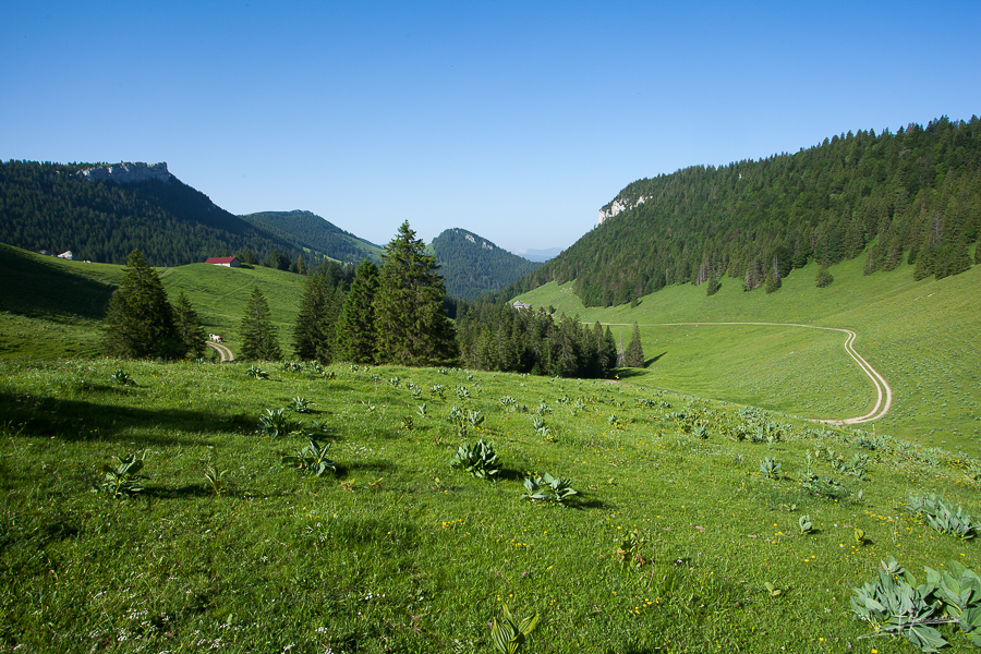 photo-jura-123