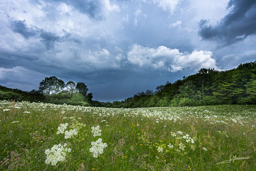 photo-jura-127