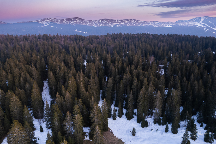 photo-jura-163
