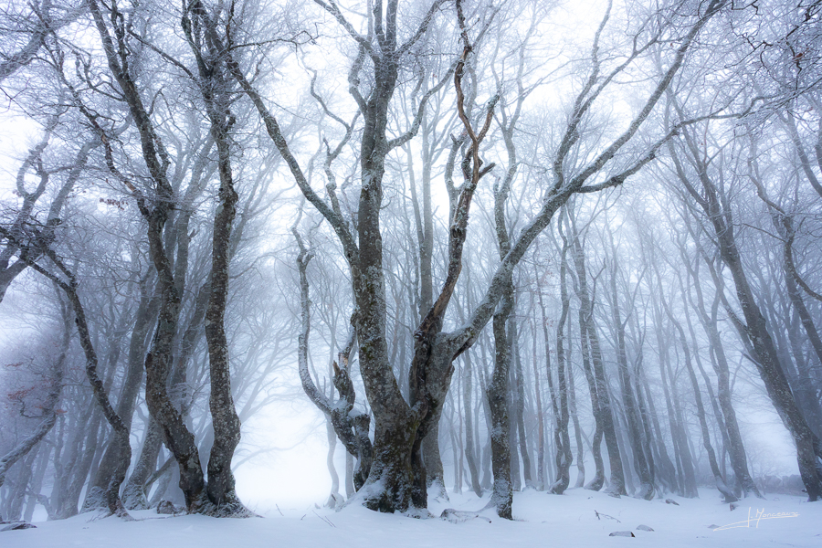 photo-jura-215
