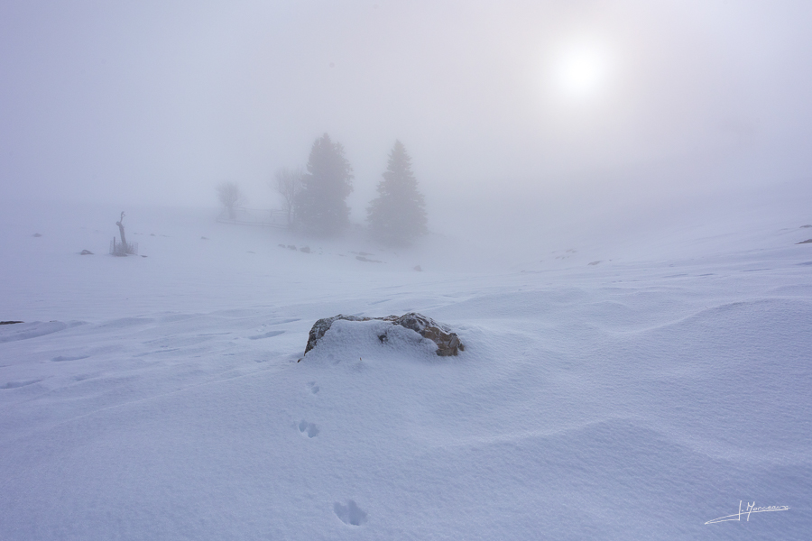 photo-jura-216