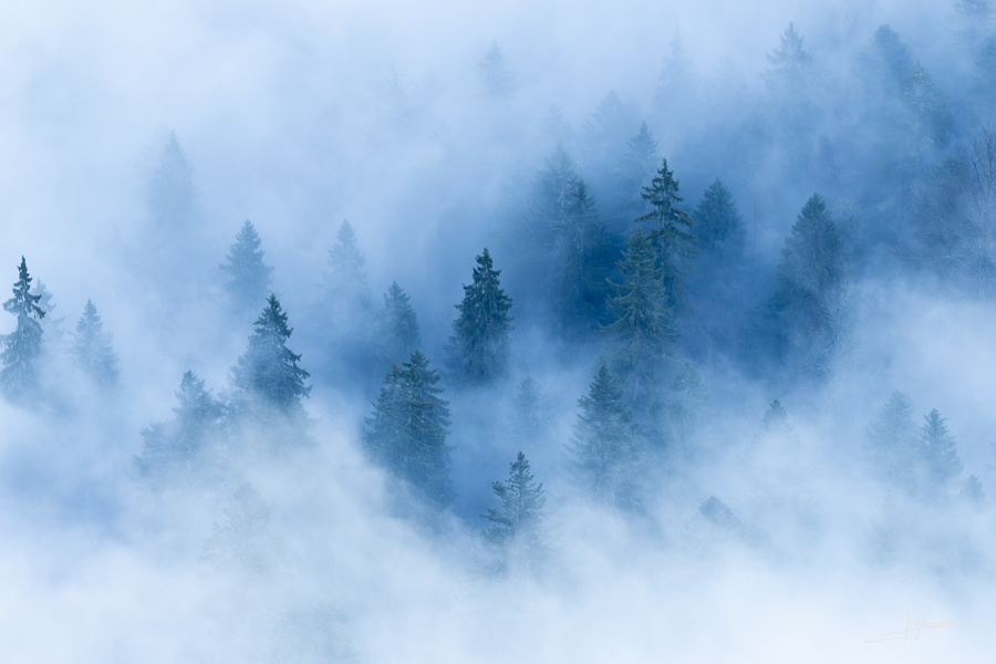 photo-jura-217