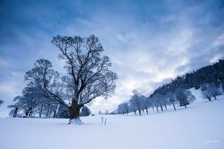 photo-jura-99