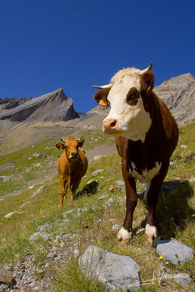 photo-montagne-003