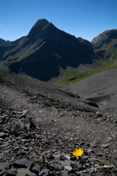 photo-montagne-034